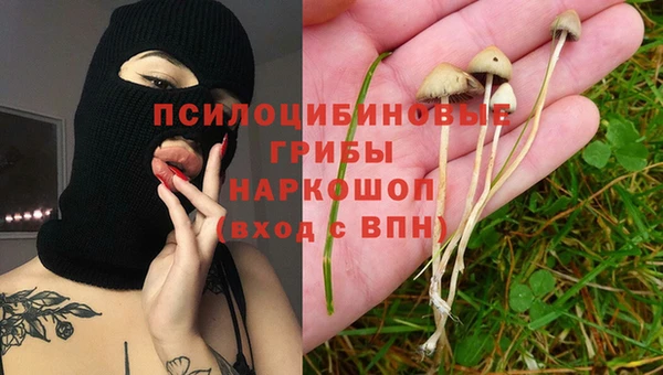 тгк Магадан