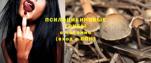 тгк Магадан