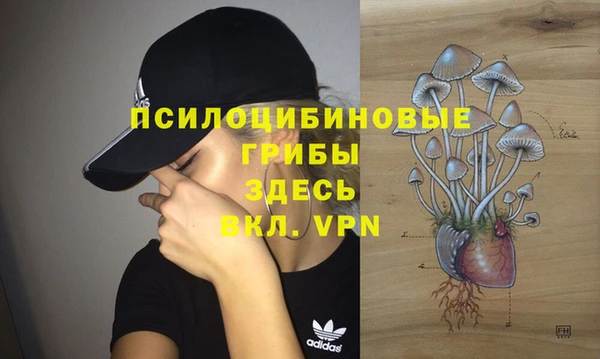 тгк Магадан