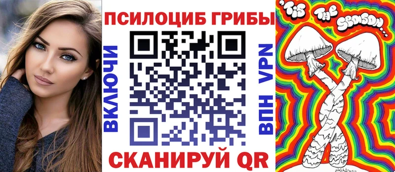 Купить  Переславль-Залесский  Псилоцибиновые грибы мицелий 